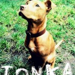 Tonka